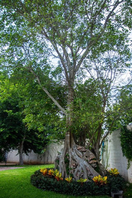 Villa San Antonio De Padua Izamal Buitenkant foto